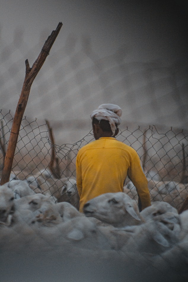 Which Countries Have the Most Farmland