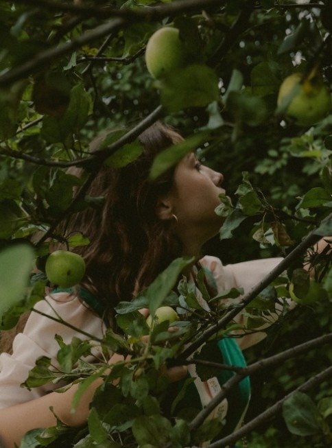 A woman picking up green from a dwarf tree