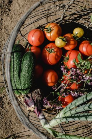 A basket on the ground filled with tomatoes, cucumbers, lemons, and some flowers 