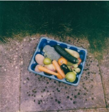 Different vegetables in a blue basket.