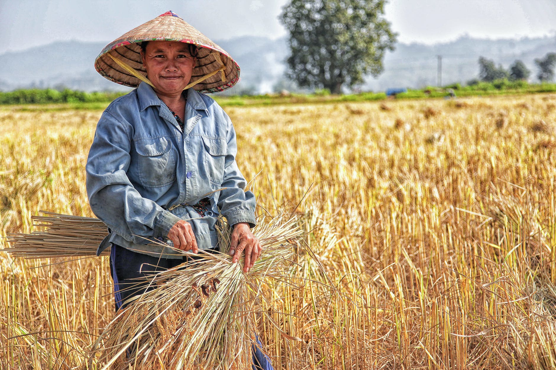 woman picking plants on a field