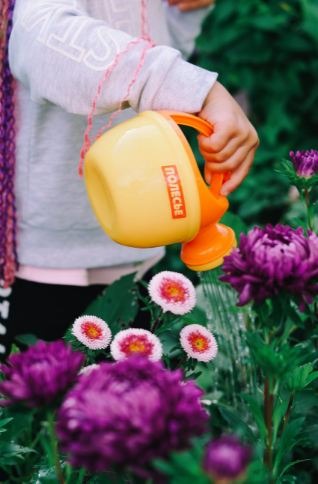 A person pouring water on plants from a watering can.