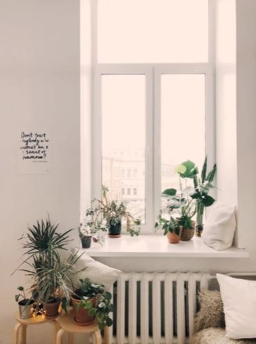 Several potted plants on a slab near the window and on stools.