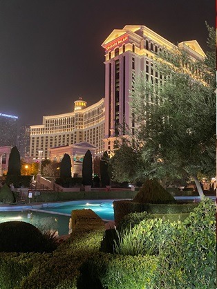 Millions won at land-based casinos too