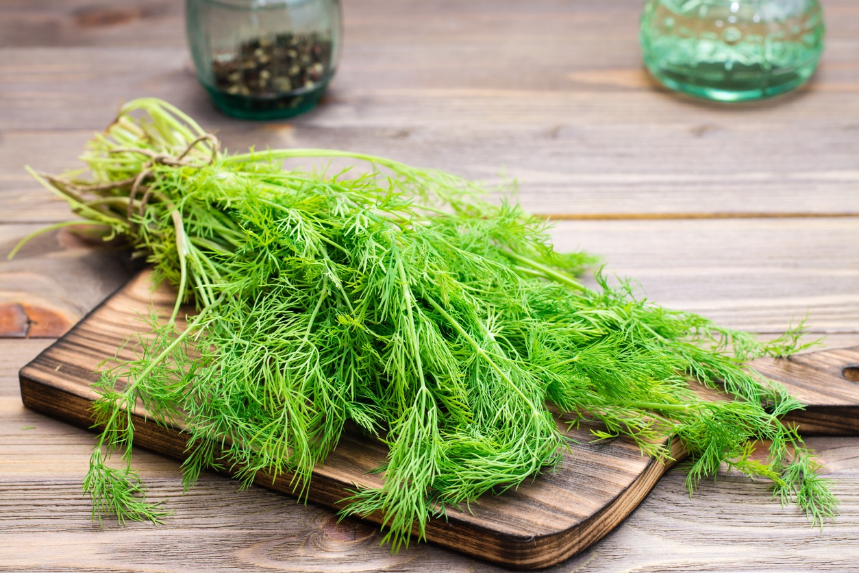 A bunch of fresh dill on a cutting board