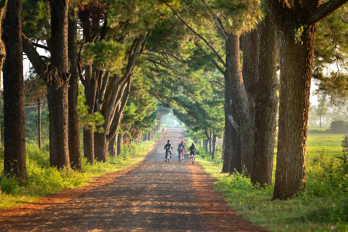 three kids biking their way