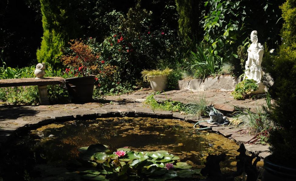 a pond with lilies and white statue of buddha