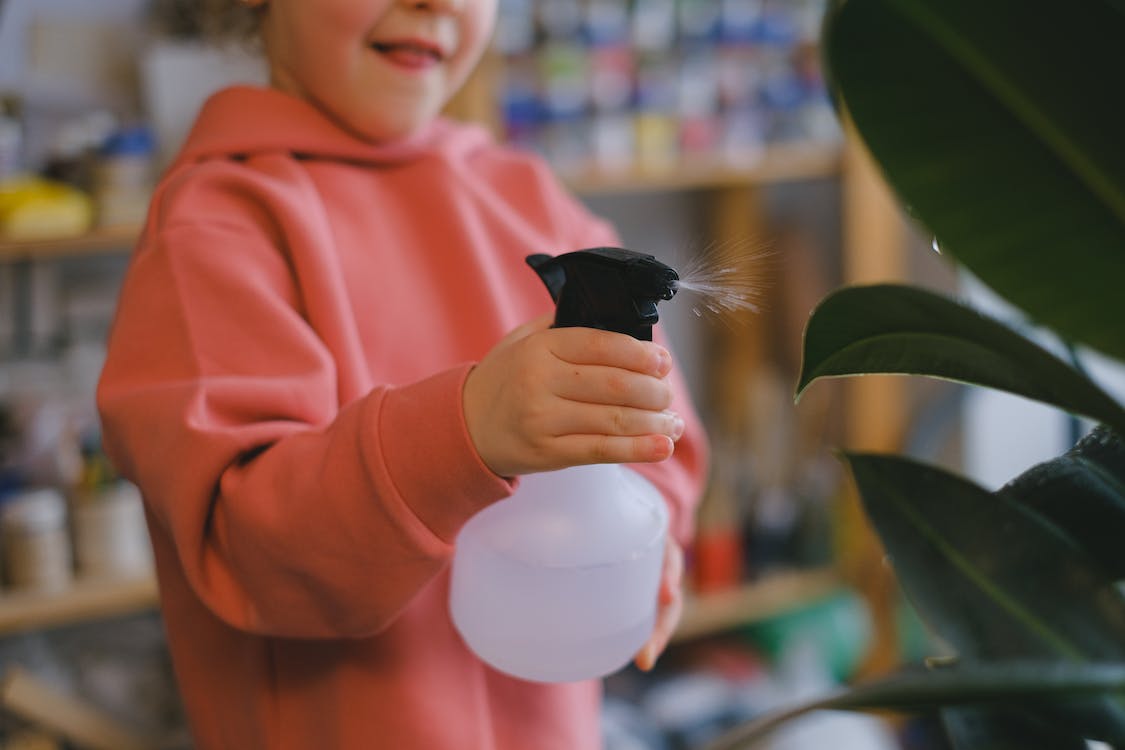 a girl spraying plant