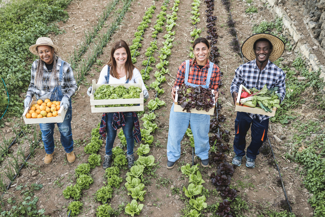 Multi generational farmer team holding wood boxes with fresh organic vegetable