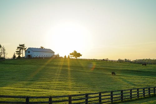 9 Gorgeous Farmhouses Across America