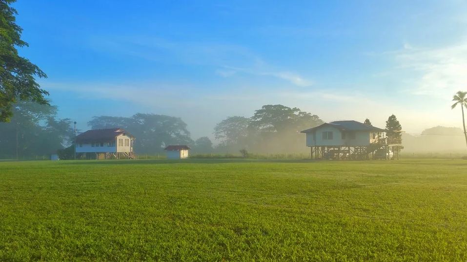 A picture of two farmhouses elevated on wooden sticks on green agricultural lands.