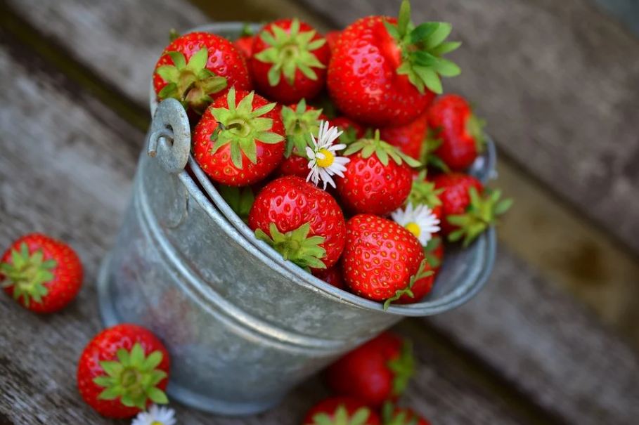 Strawberries in a bucket