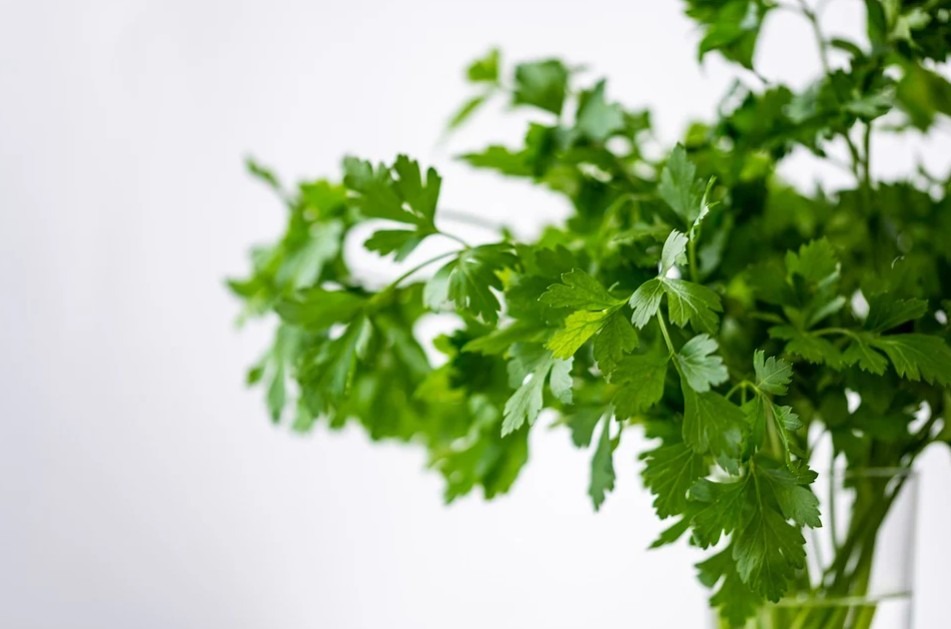 Parsley