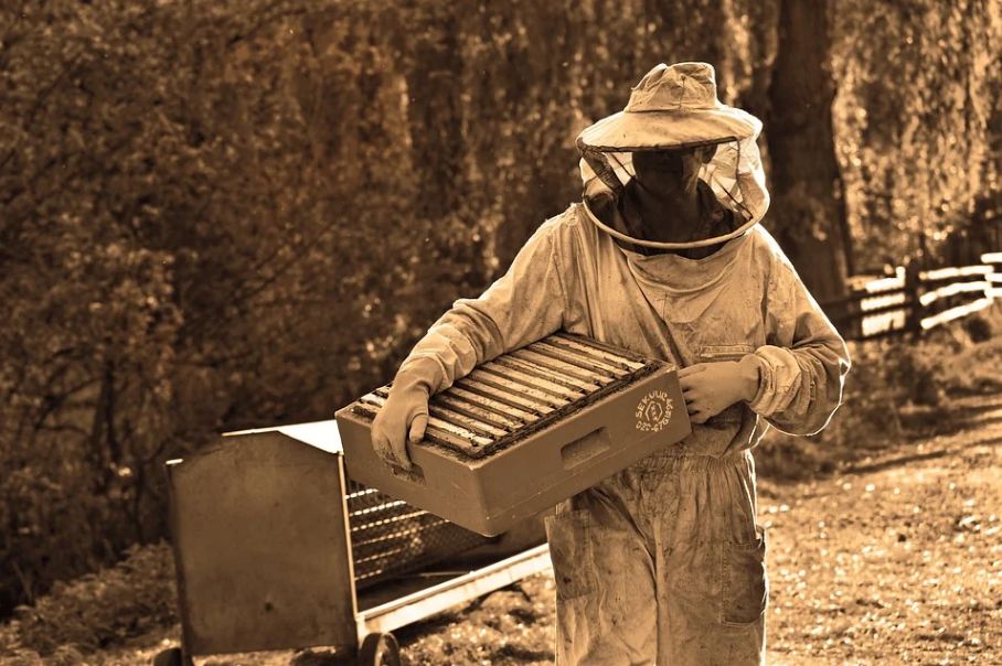 beekeeper carrying a hive