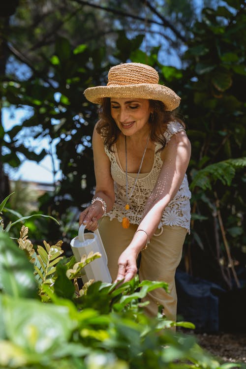 woman watering the plants-jpeg