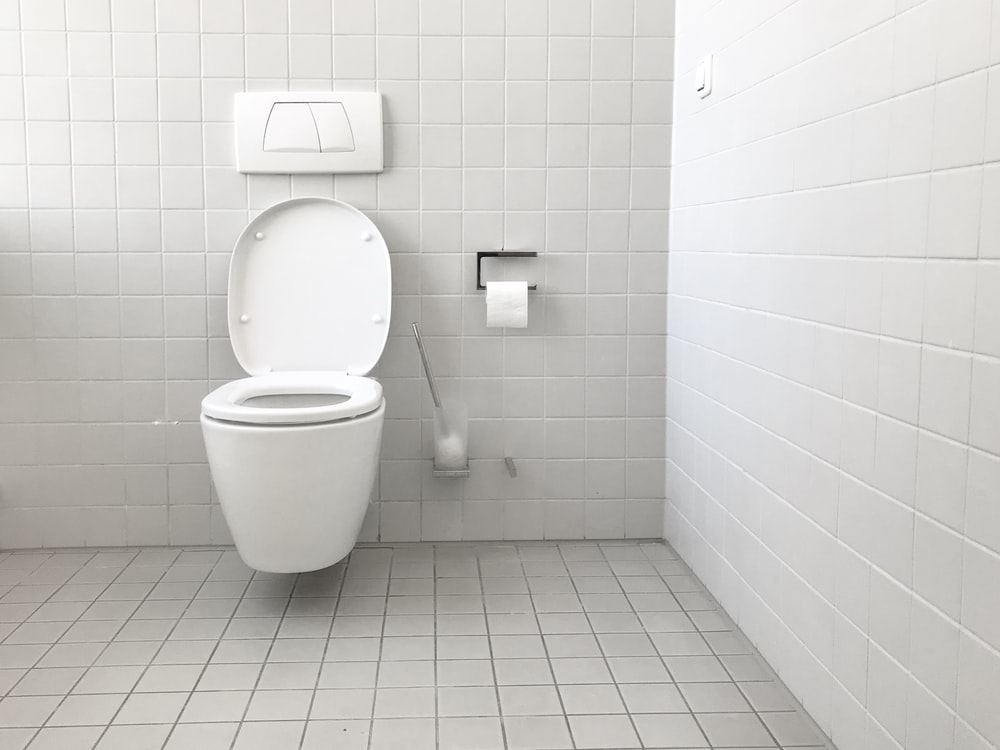 Toilet Flushing Systems