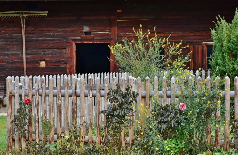 An image with flowers surrounding the fence of a wooden farmhouse.