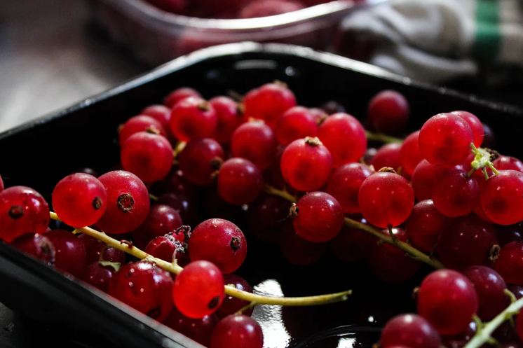 red berries, a type of gooseberries