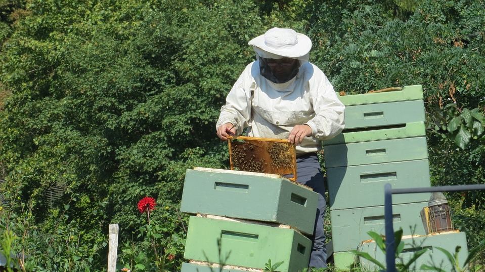 beekeeper with several hive boxes