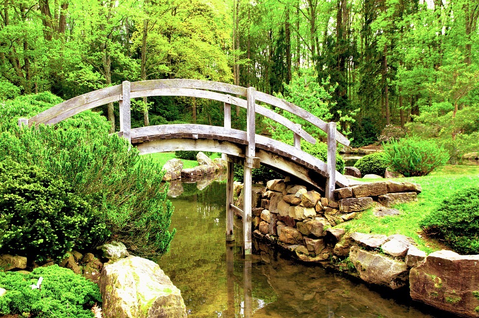 An arching wooden bridge with water flowing below it, and green trees and shrubs all around
