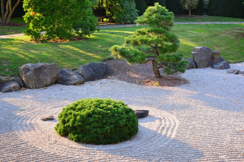 a dwarf tree, grasses, gravel, and a stone in a zen garde