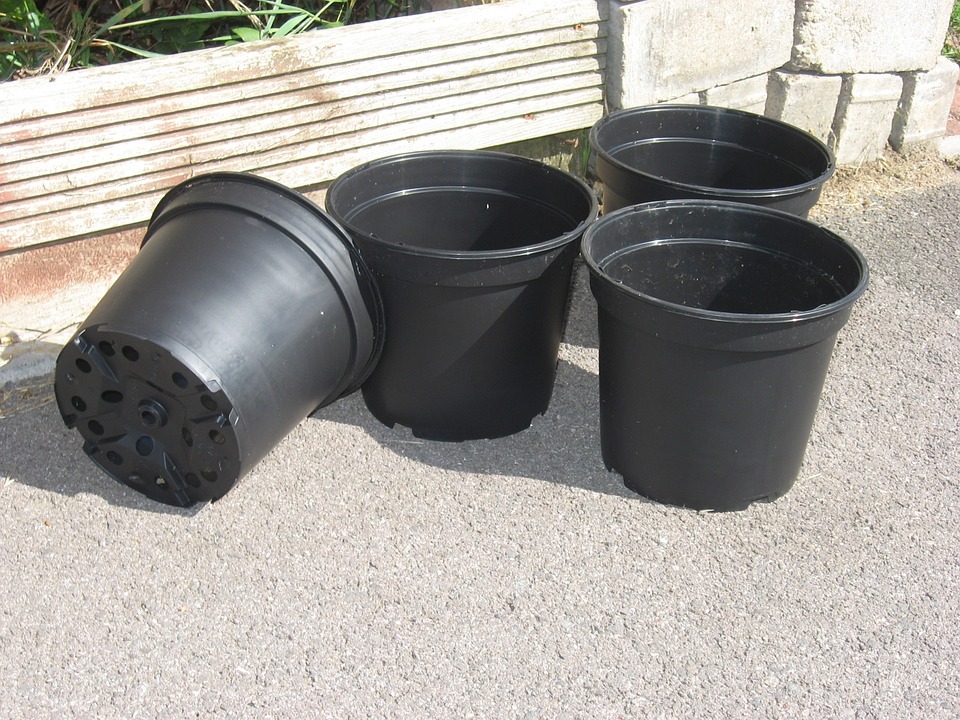 black pots for plants