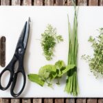 different herbs, and a scissor on a white chopping board
