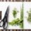 A Complete Guide to Herb Gardening