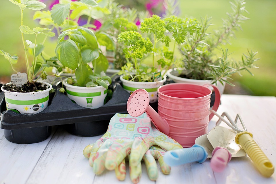 gardening tools, and herbs on pots