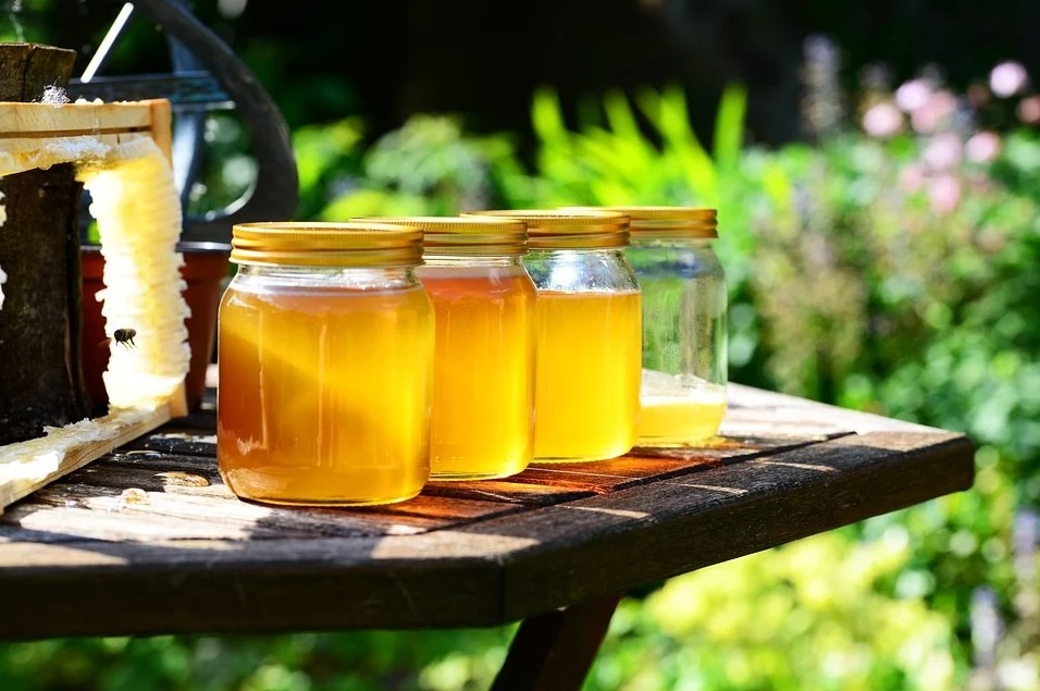 benefits of honey, Ayurveda, antioxidant effect, Islamic medicine, Greek beverage