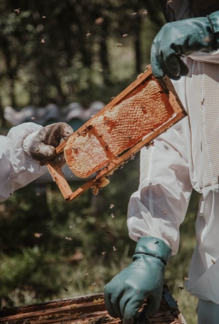A Person wearing his protective gear while holding a honeycomb