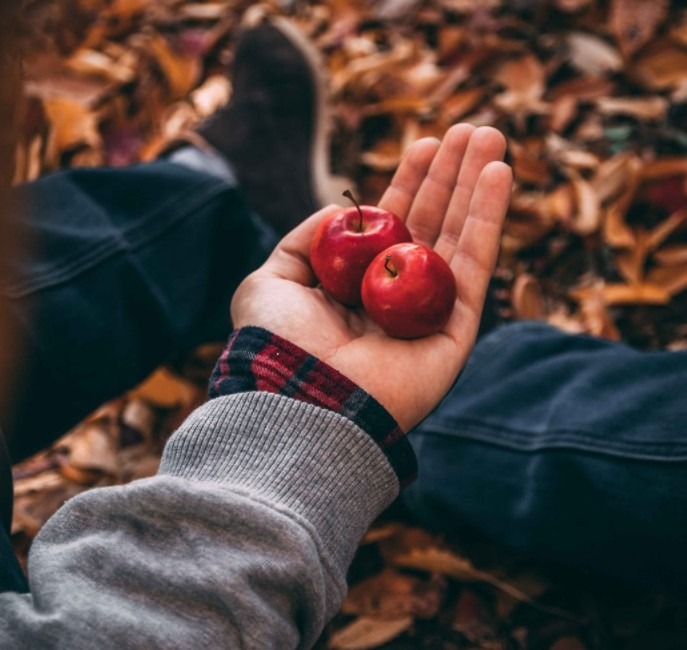 A person holding small red apples