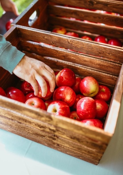 Red apples in wooden crates