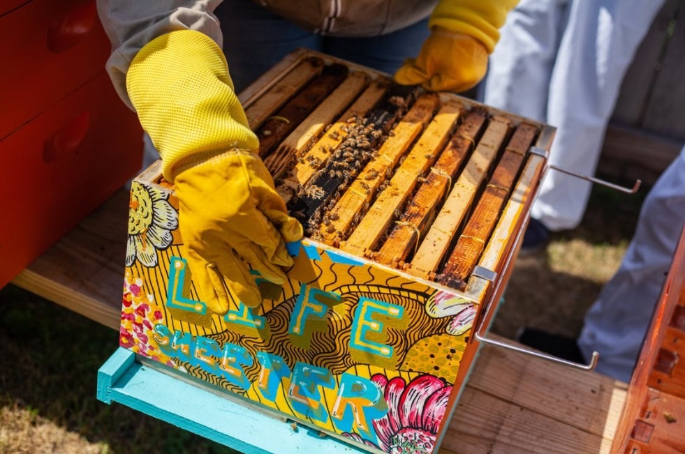 brown-wooden-crate-with-bees