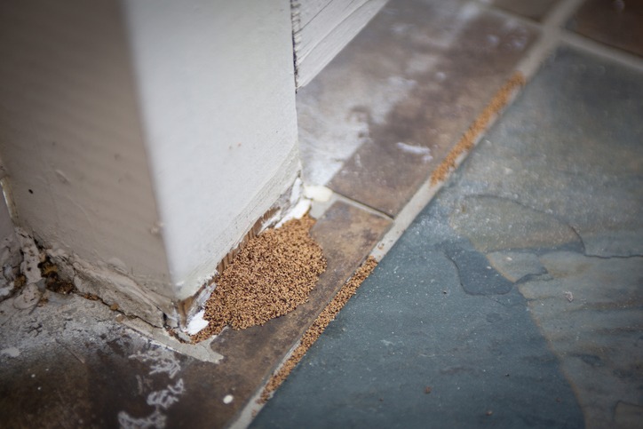 termite droppings at an outside banister