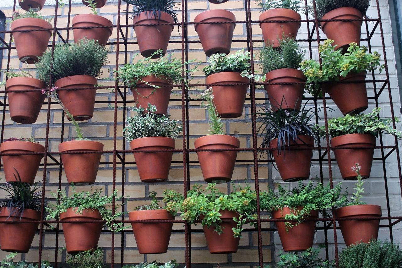 plant pots in vertical garden