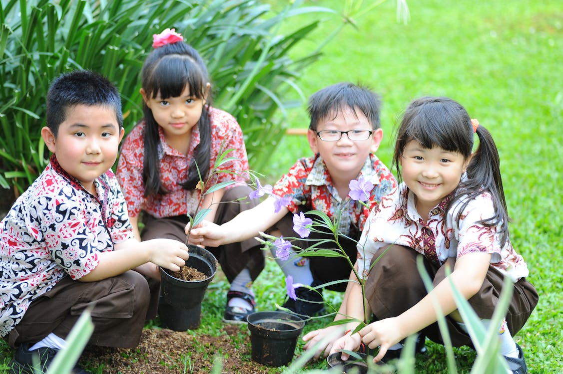 a group of children holding plants and pots