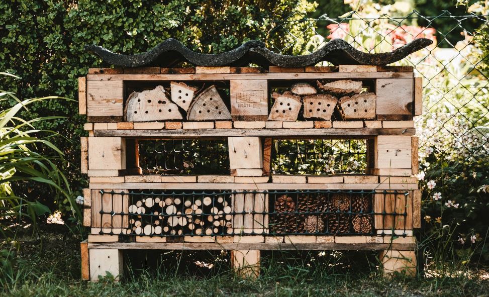 wooden bee house